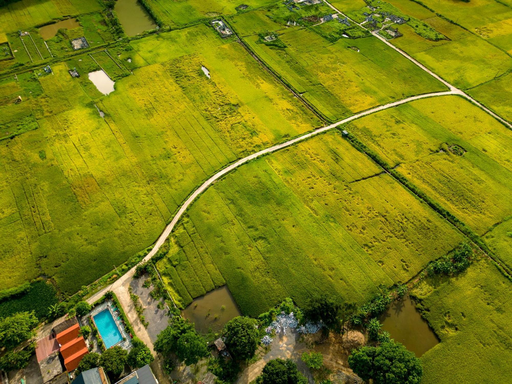Tam Coc Minh Hung Homestay Ninh Binh Buitenkant foto
